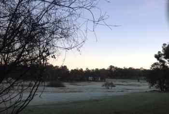 frosty morning